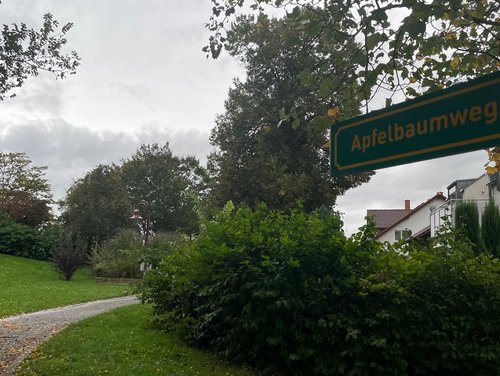 Ein grünes Schild mit der Aufschrift "Apfelbaumweg" zeigt auf einen Weg. 